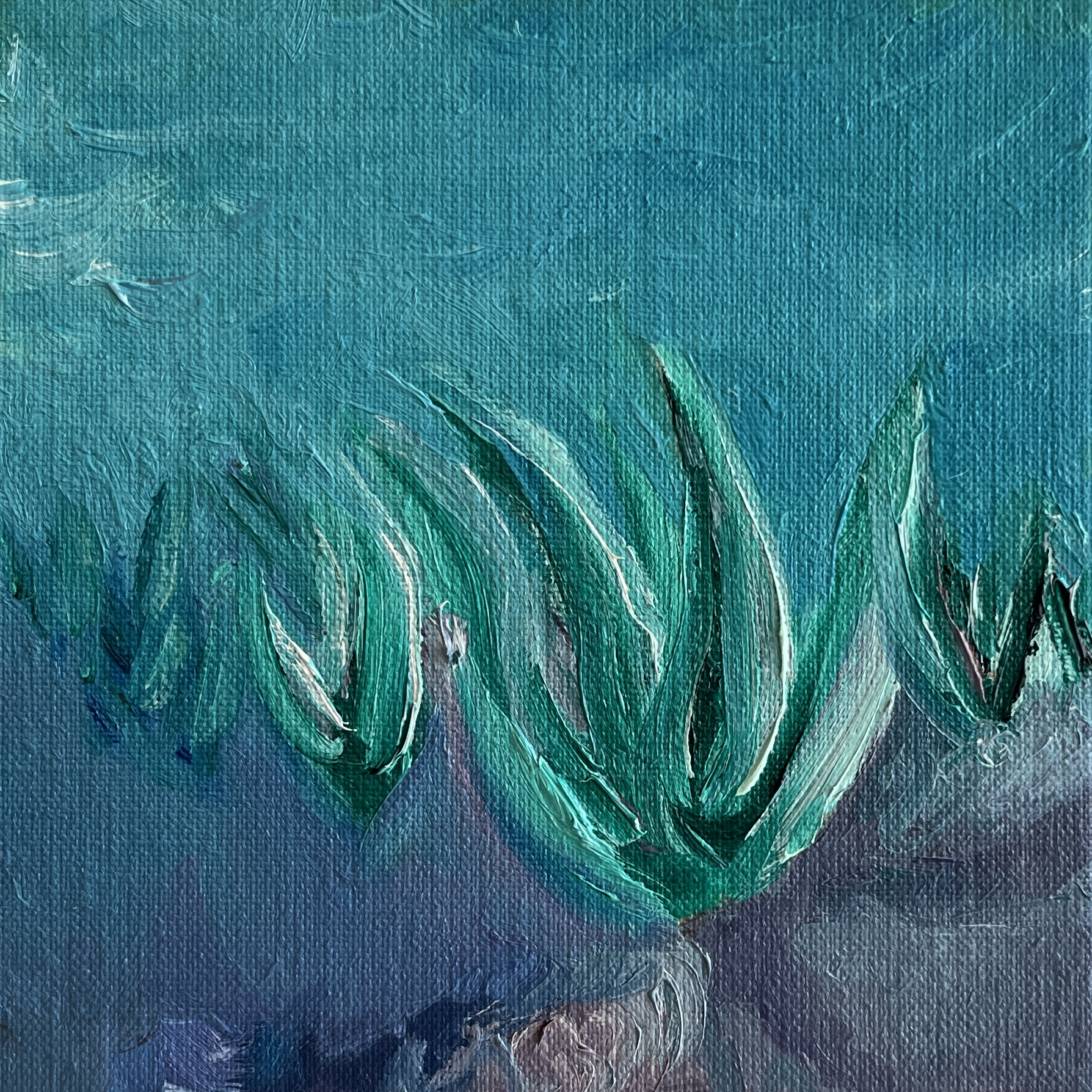 Plantação de Aloevera, 2025 Série Flora brasiliensis, Óleo sobre linho cru 15 x 15 cm - 00295