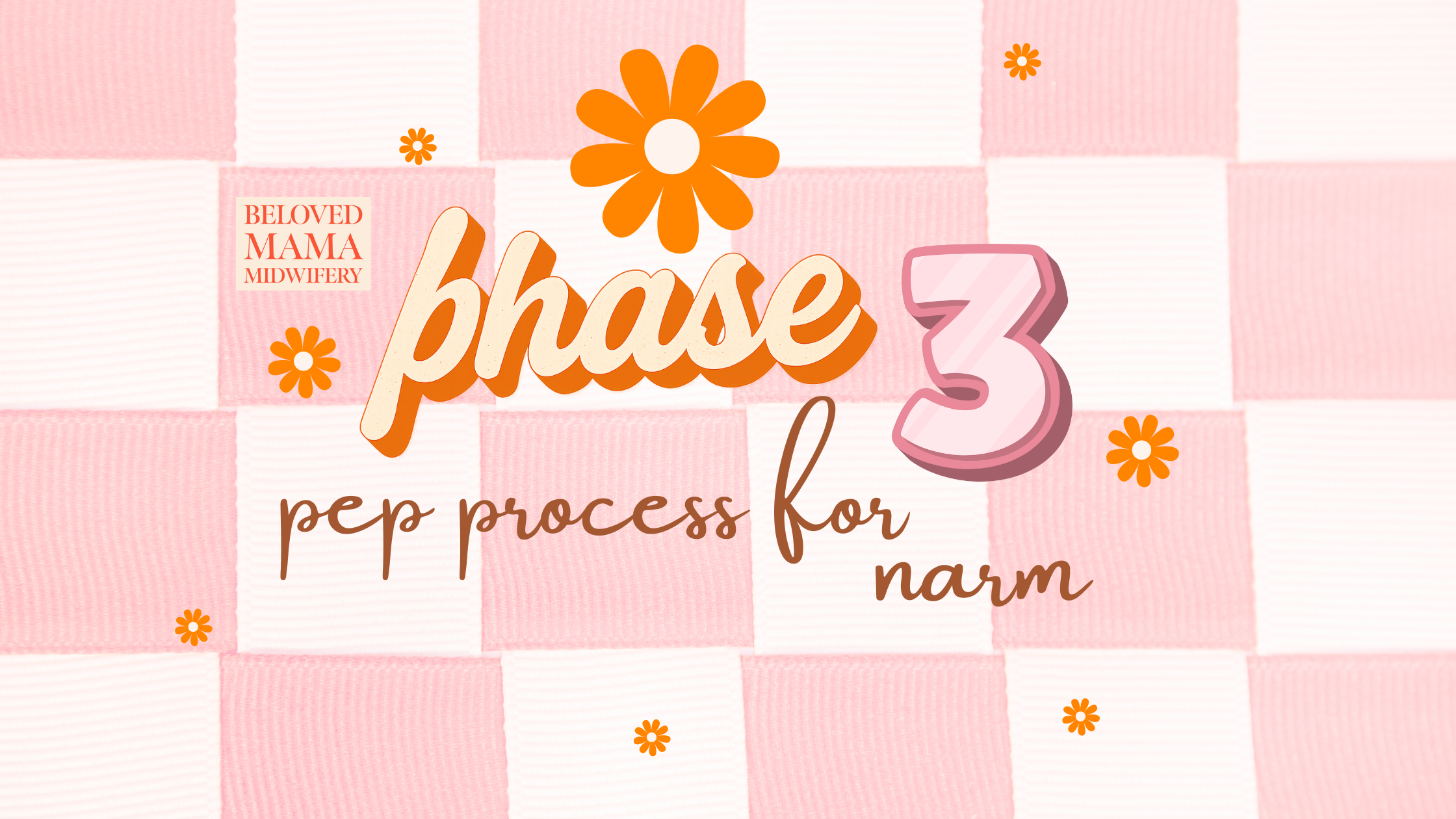 Phase 3 student midwife