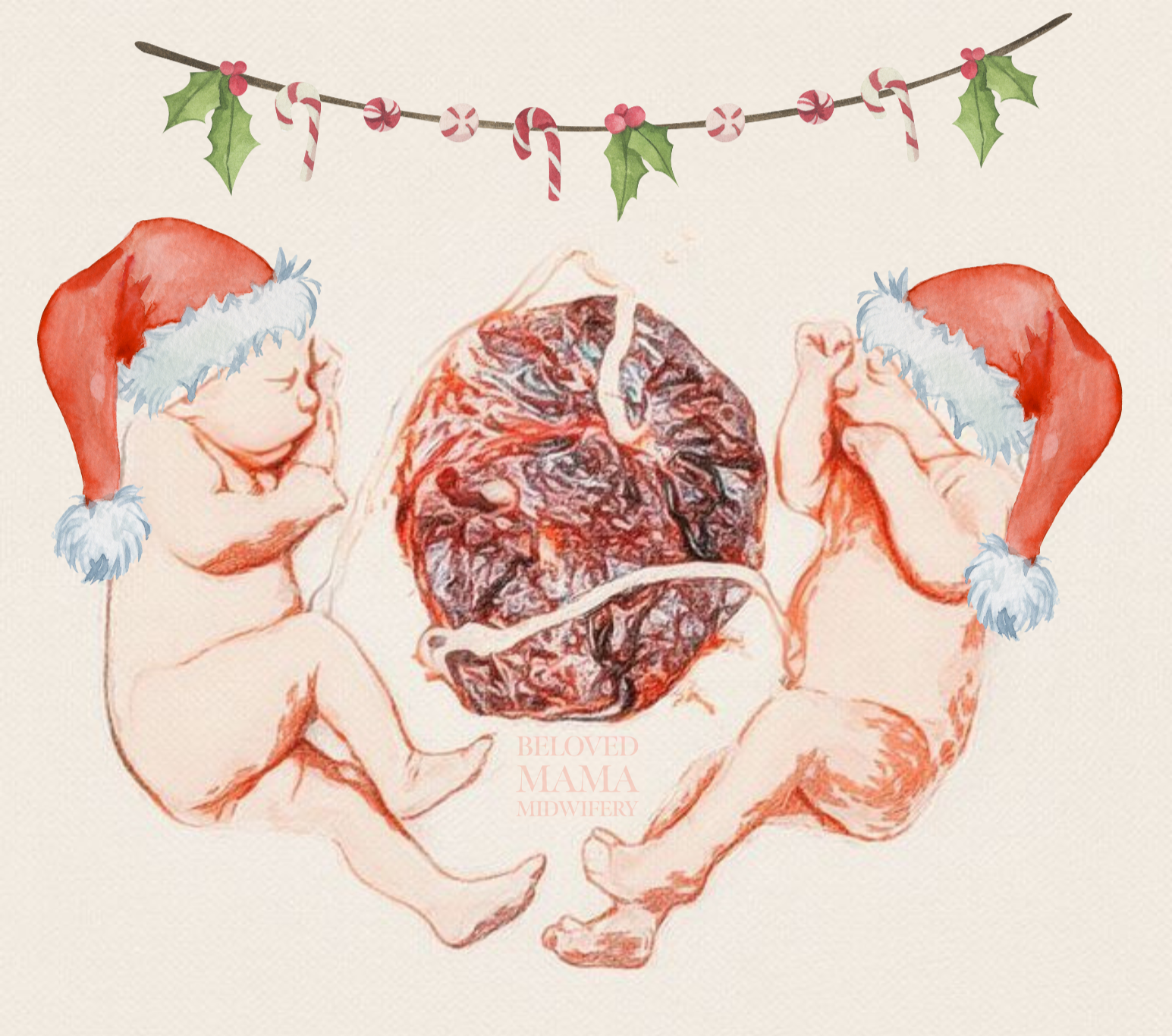 birth and postpartum support for twins 