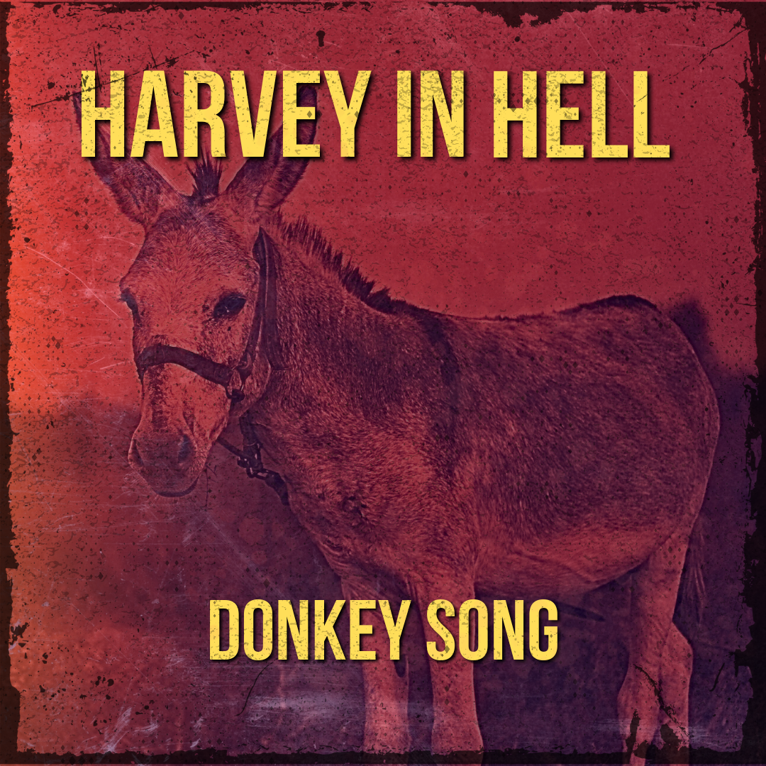 DONKEY SONG.png