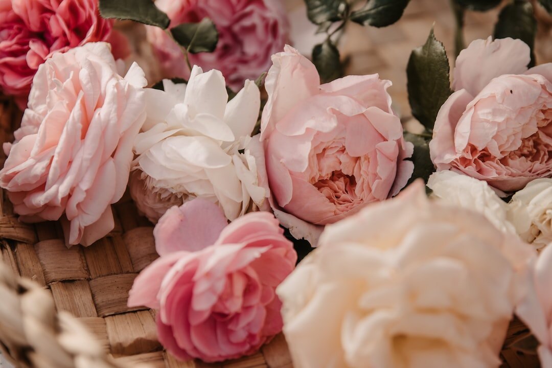 My Approach to Therapy with New Clients: Building a Foundation for Growth and Healing