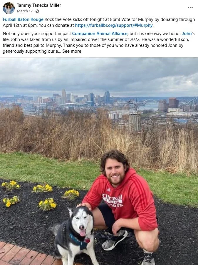Man in a red hoodie kneeling next to a Siberian Husky, with a cityscape and bridge in the background, and flowers in the foreground.