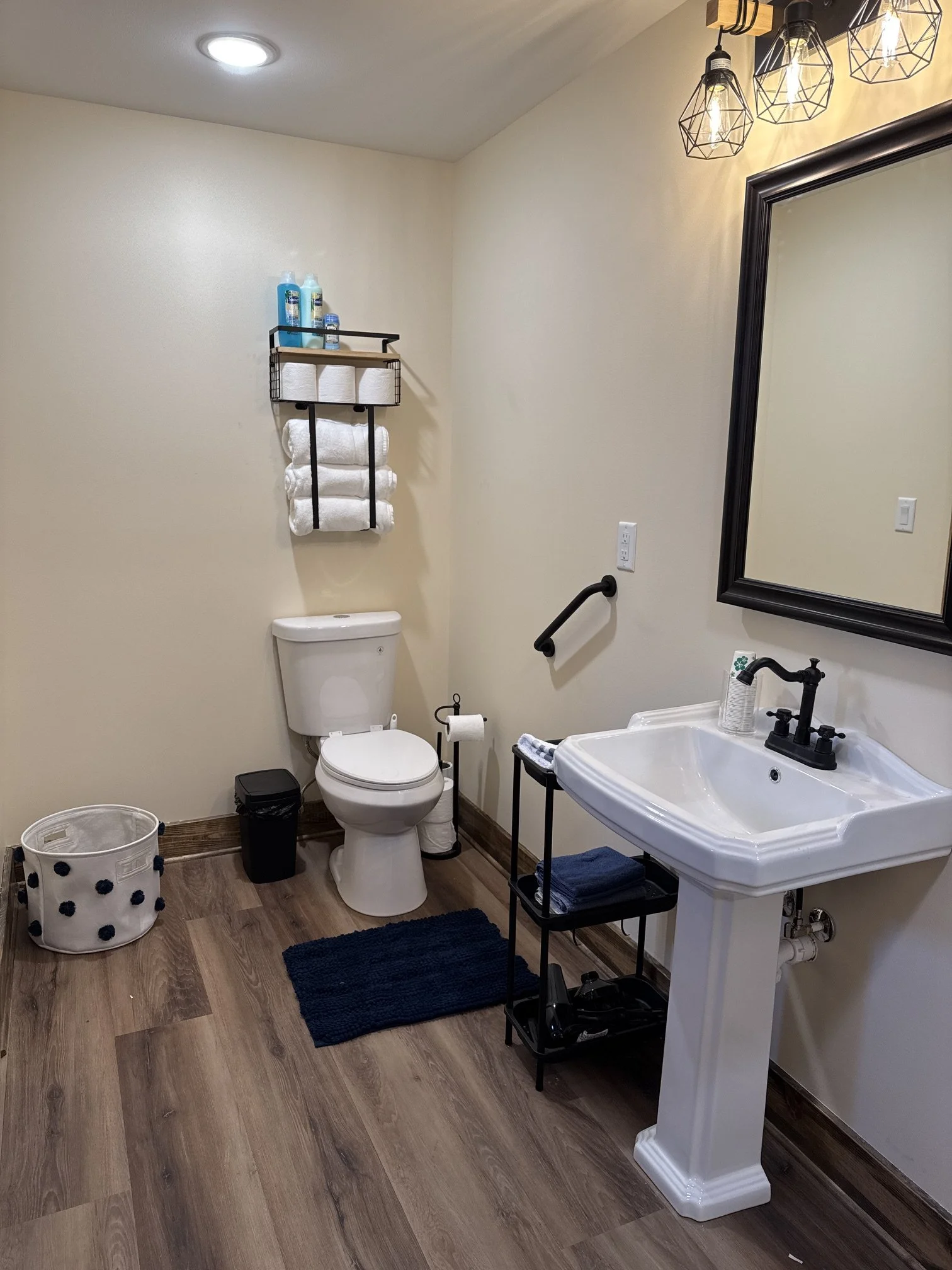 Bathroom Wheelchair Accessible.JPEG