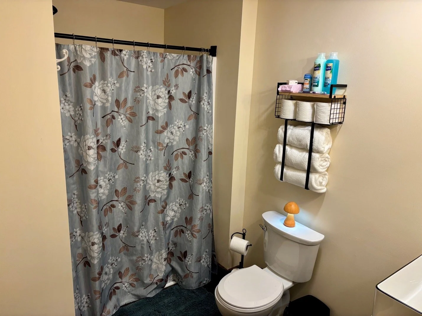 Bathroom 2.jpeg