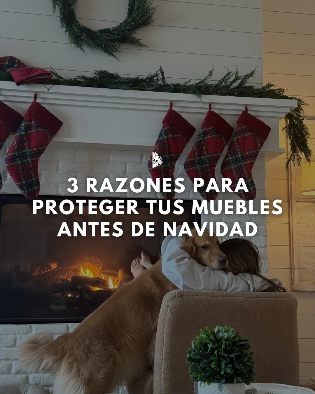 Aprovecha nuestro 3x2 en tefl&oacute;n, mejor prevenir que lamentar ✨ Escr&iacute;benos al 442 400 9869

#lavadodemuebles #teflonparamueblesqueretaro #lavadoqueretaro