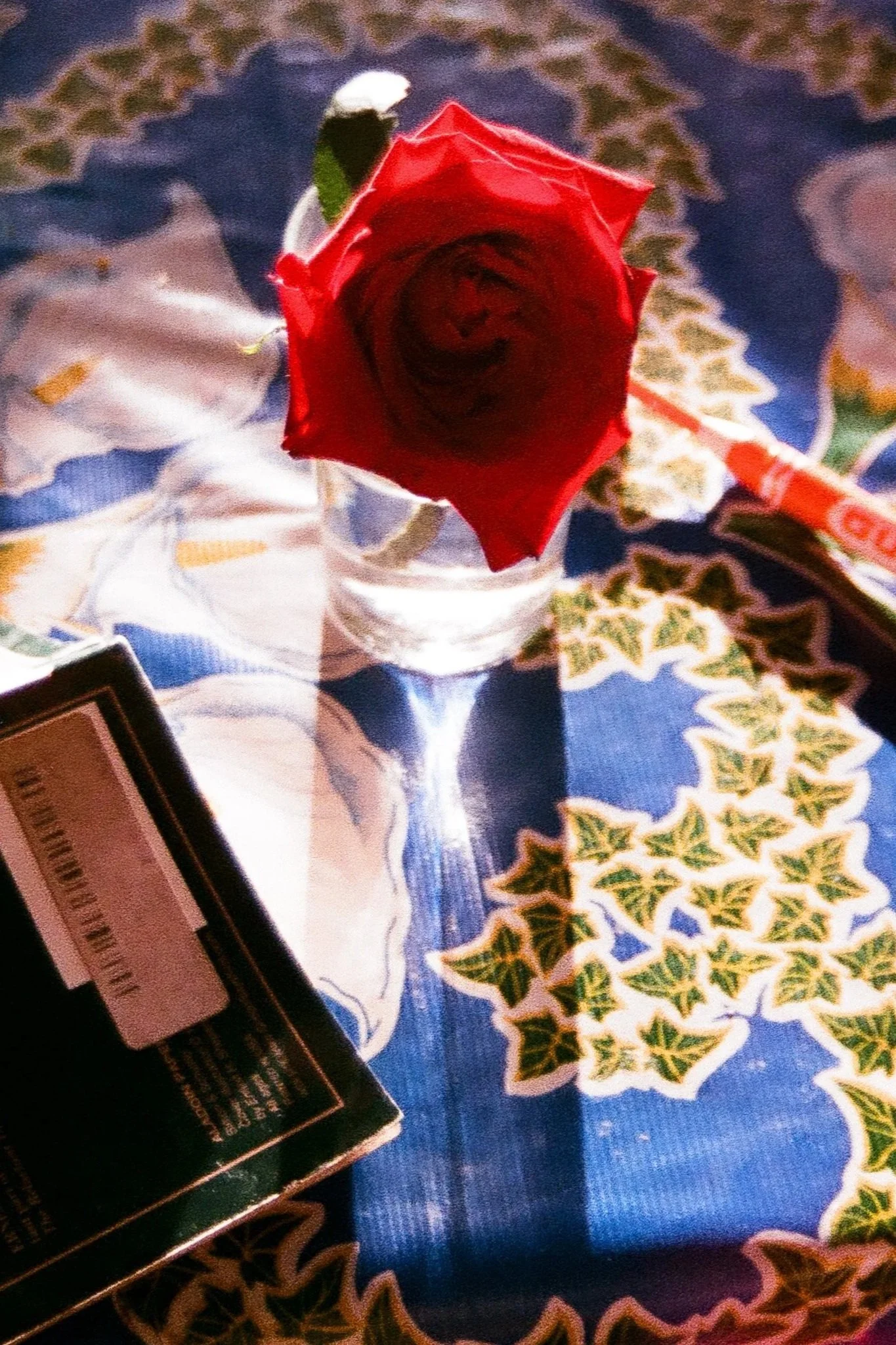 832520480003_2.jpg