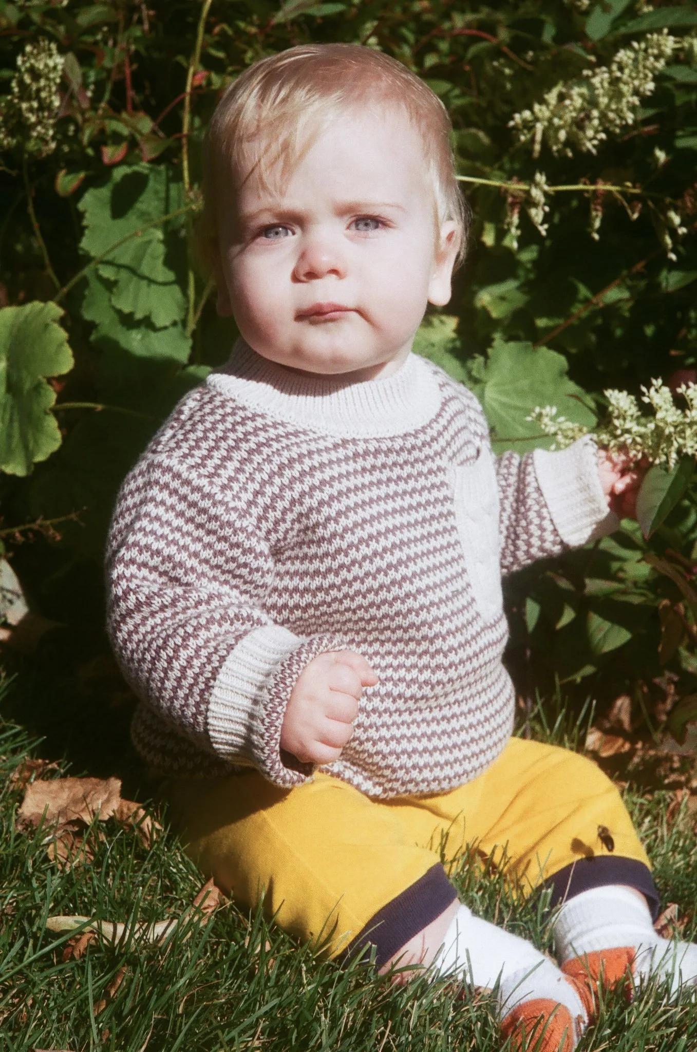 18-Freddy_Fall_2021.jpg
