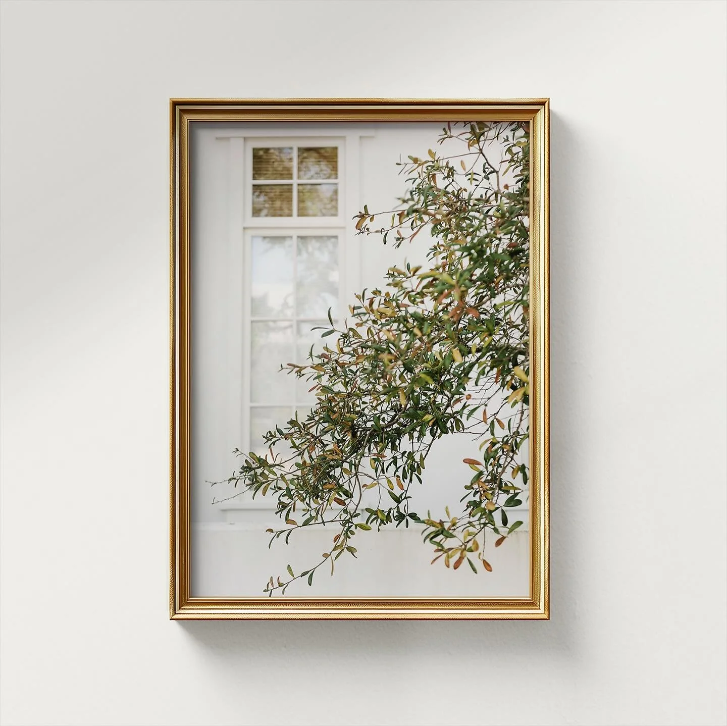 &ldquo;Alys I&rdquo; print. Available in the shop at the link in my bio 🙌🏼