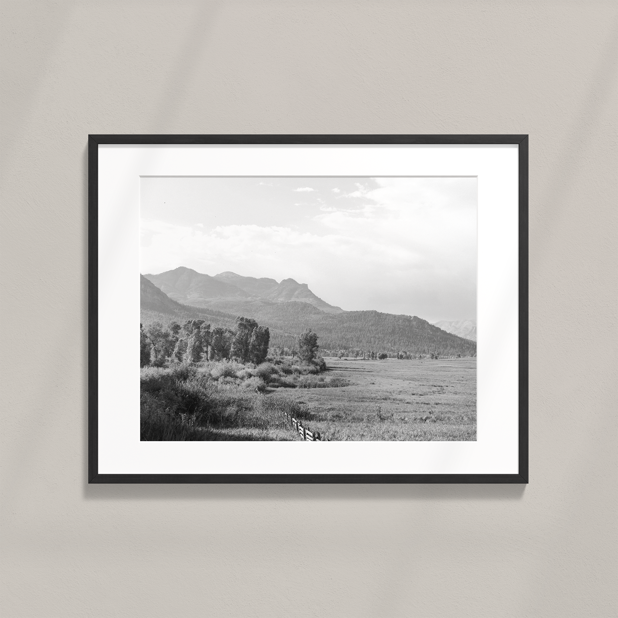 Pagosa_BW_WEB2.png