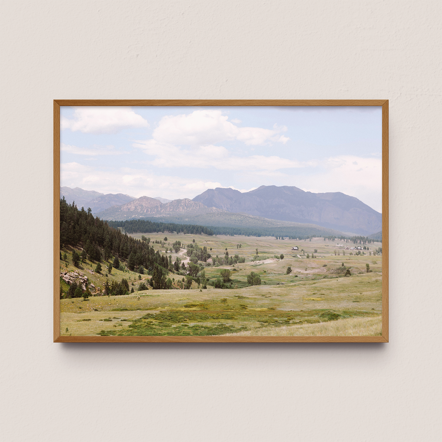 Back_Roads_WEB3.png