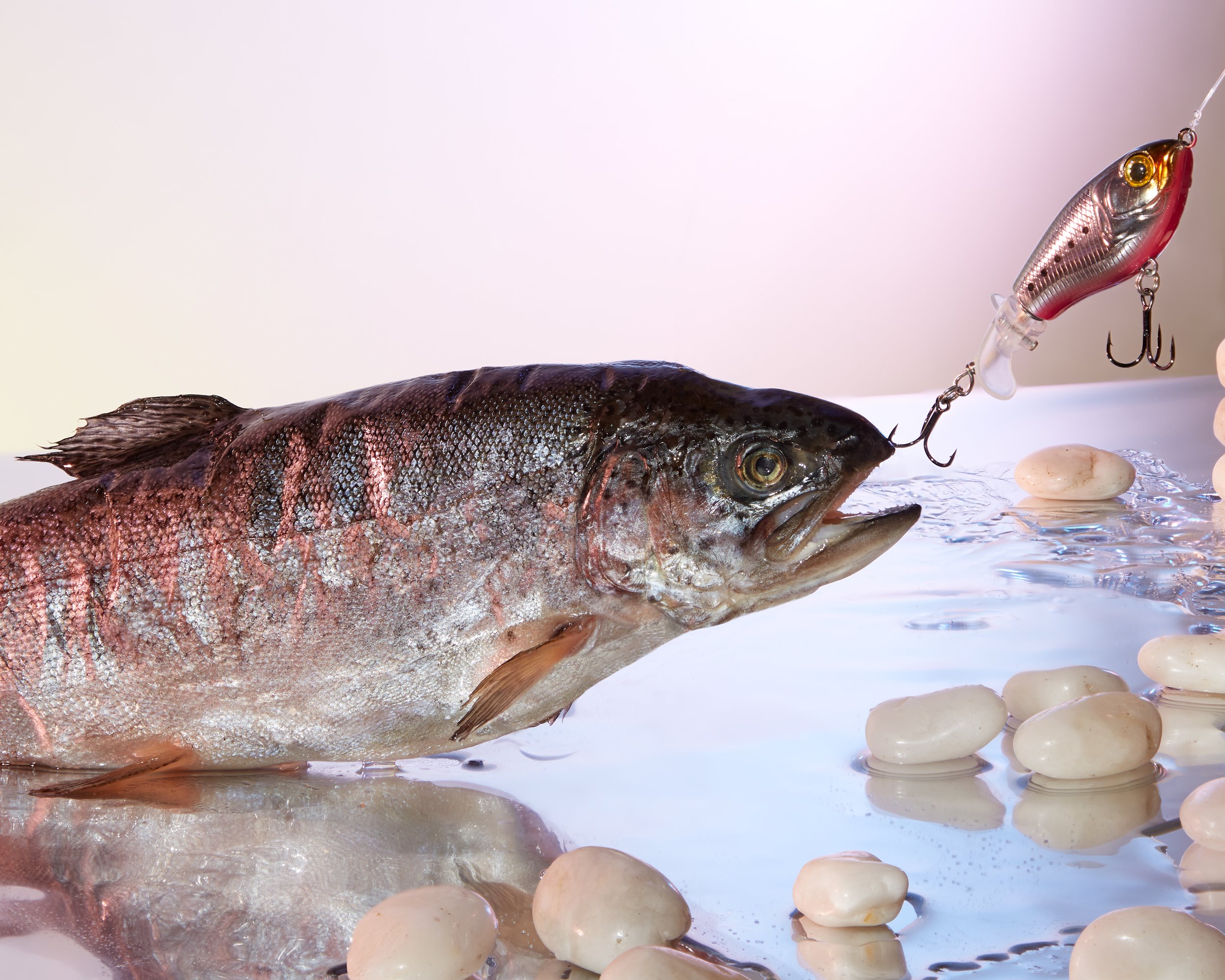 Fish and Lures, Editorial Photo Story, Styling Hope Misterek, Photography Gabrielle Weber