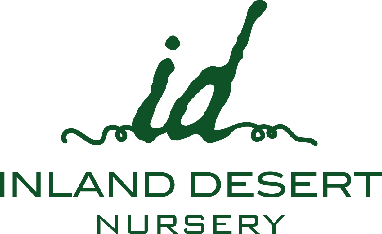 Inland Desert Nursery sells hybrid grapevines for winemaking