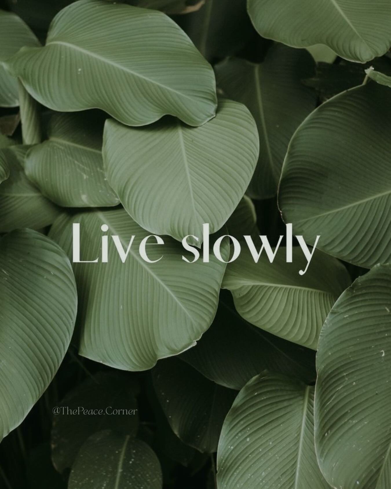 Life can be fast & hard
with not many soft spaces to land or run to
So it’s up to us to create those spaces where we feel seen, heard, and most importantly safe.
Safe to be, safe to cry, safe to share, safe to be vulnerable.
We have to