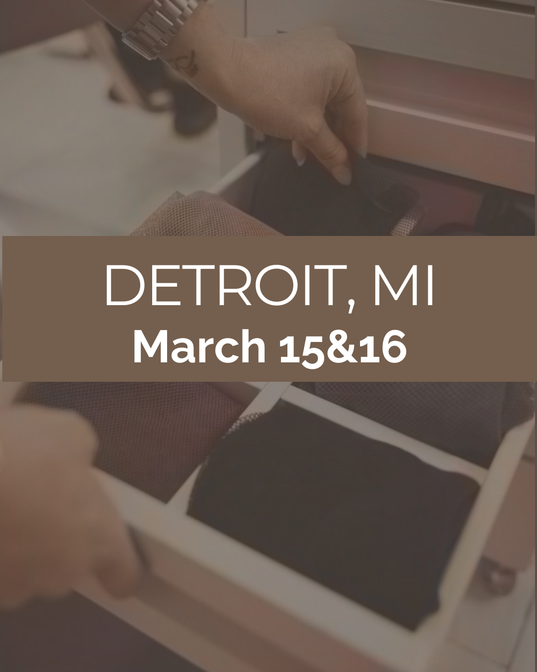 Mesh Mastery 2 Day Course - Detroit, MI 3/15 - 3/16