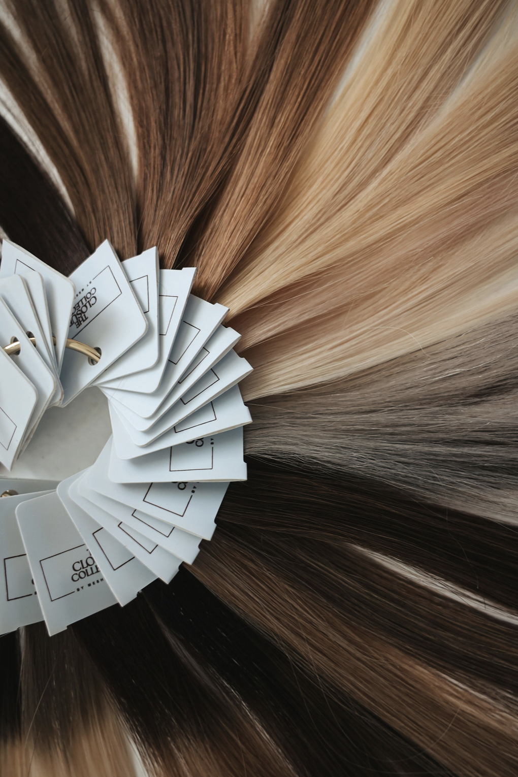 Screenshot 2025-11-30 at 9.26.10 AM.png