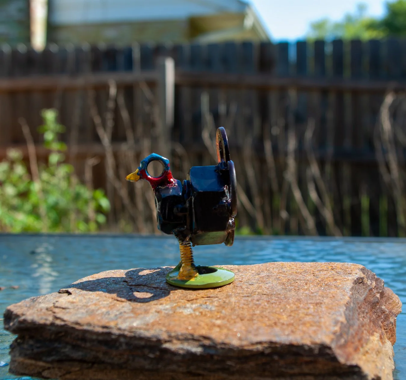 Turkey Outside Side View.jpg