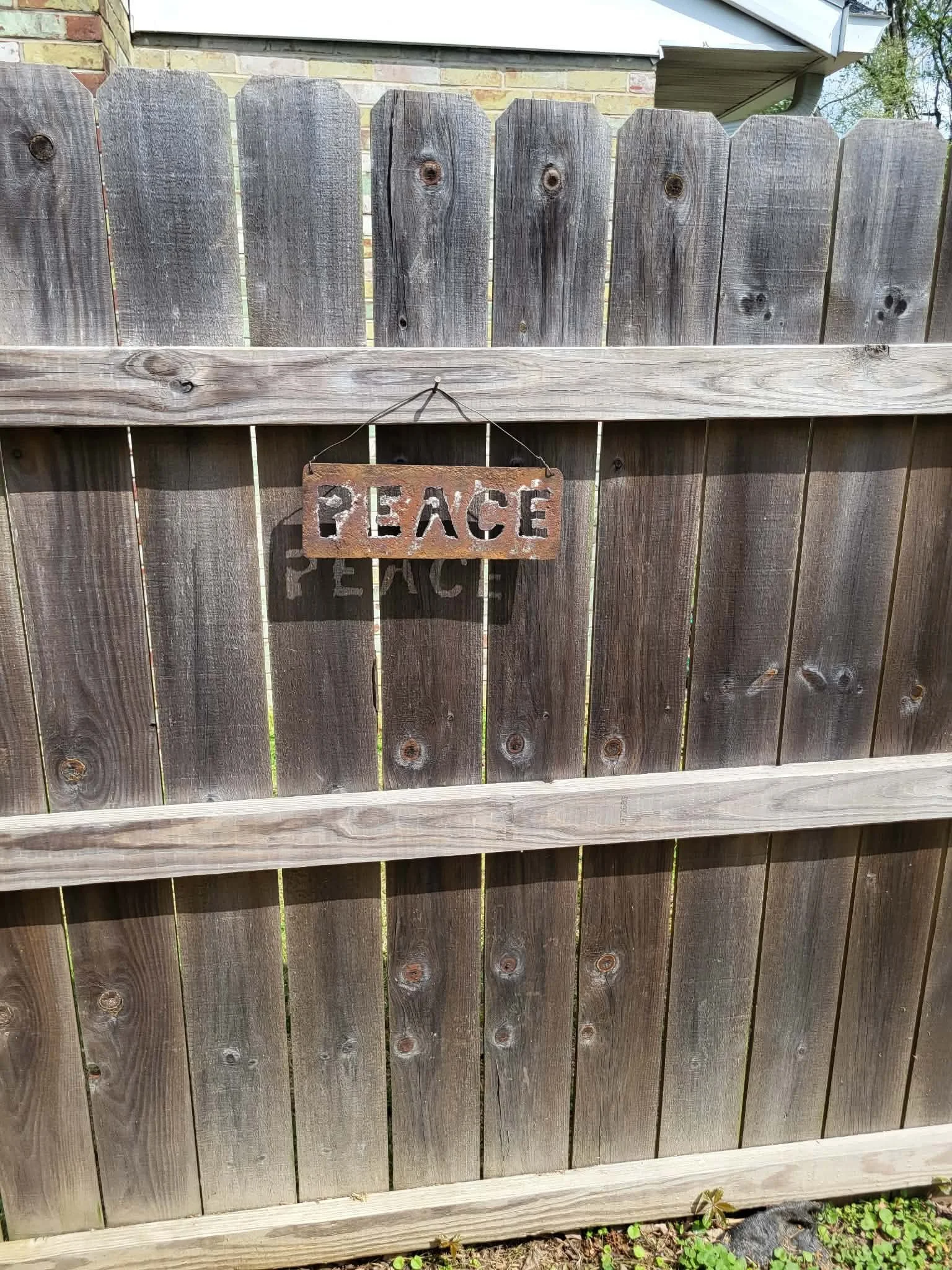 att.AA98m61IThb8ZEFV7AJ5lylM3tkAFW_2sMsTXLGmKCI (1).jpeg