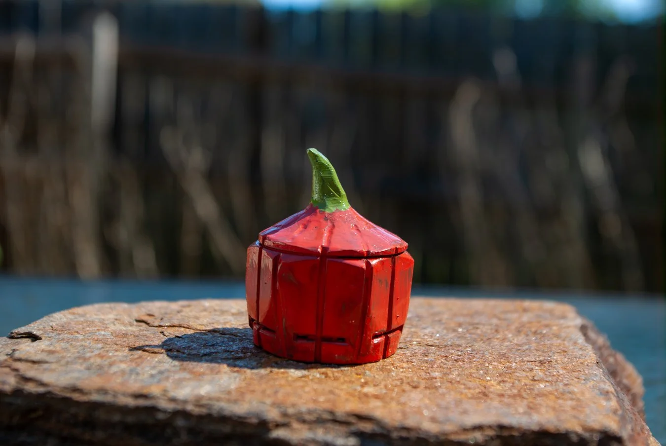 Little Pumpkin outside.jpg