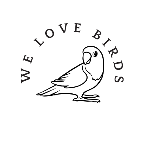 We Love Birds