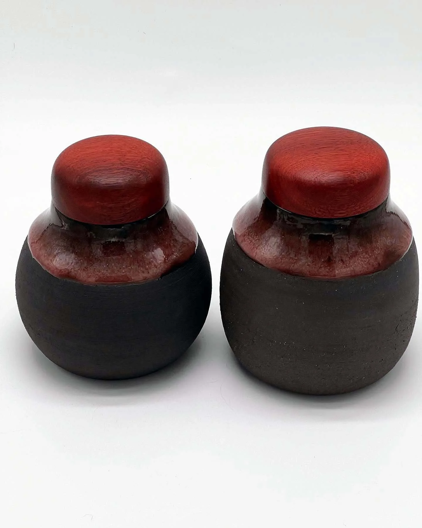 Two ceramic pet pots shakers with round red wooden tops and a black base, placed on a white background.