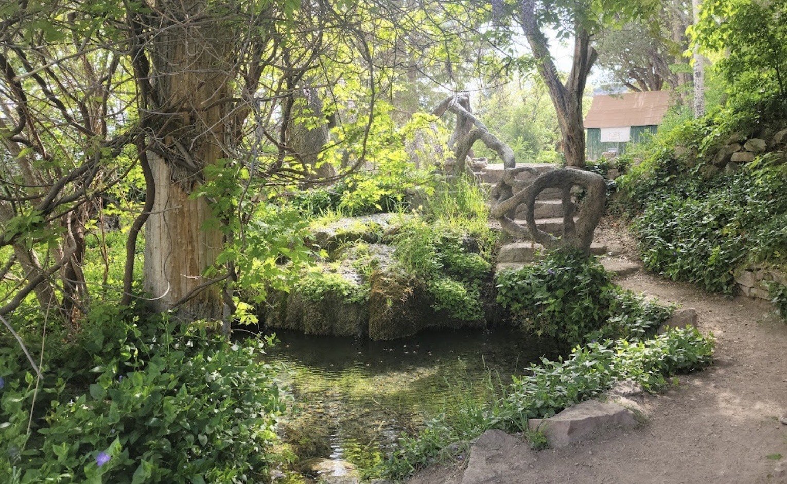 Forest Bathing, Carlito Springs Open Space