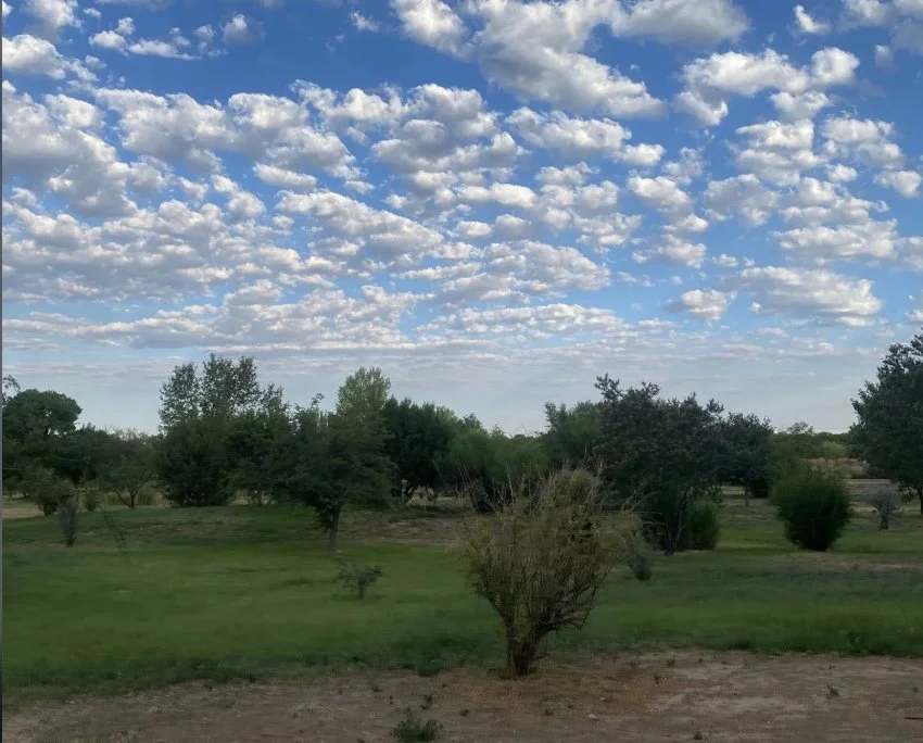 Nature Connection Walk, Bachechi Open Space