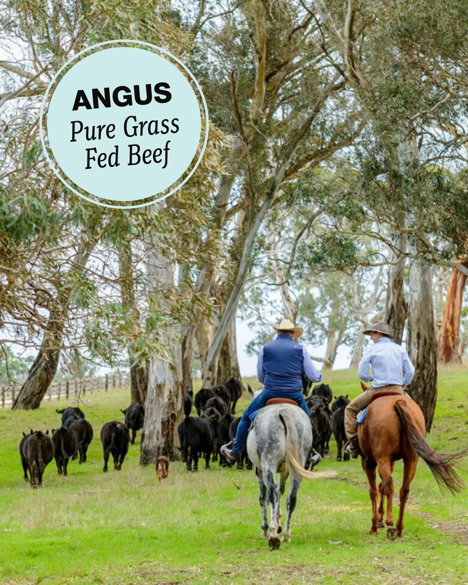 At The Kelso, we&rsquo;re proud to serve Angus Pure Grass Fed Beef &ndash; the flagship Angus beef program from Thomas Foods International. Trusted worldwide for its consistency, accountability, and premium quality, Angus Pure is built on world-class