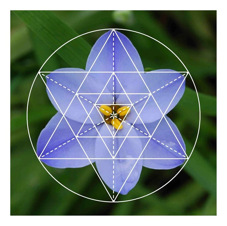 Sacred Geometry