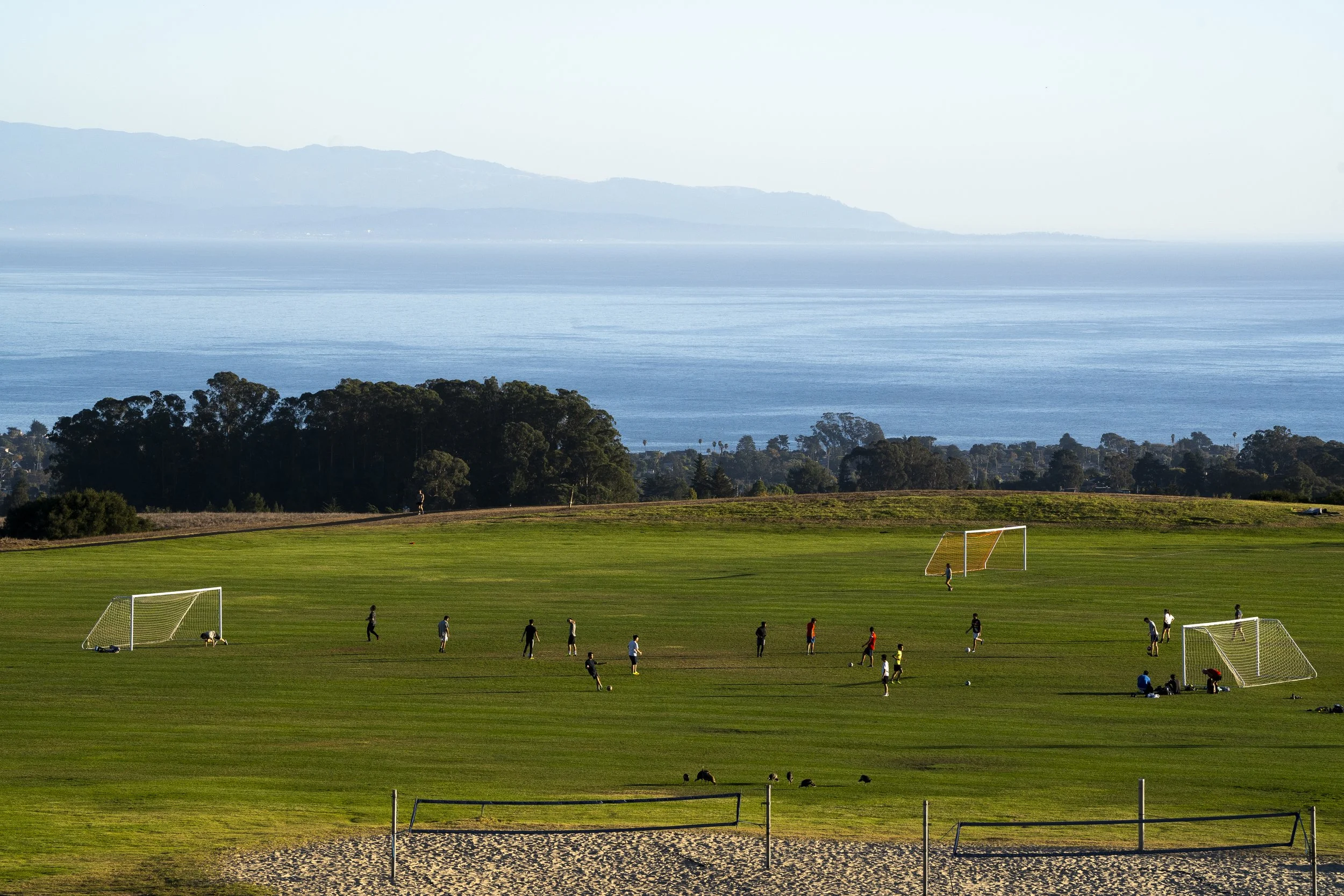 20191021-East-Field-NEG-01.JPG