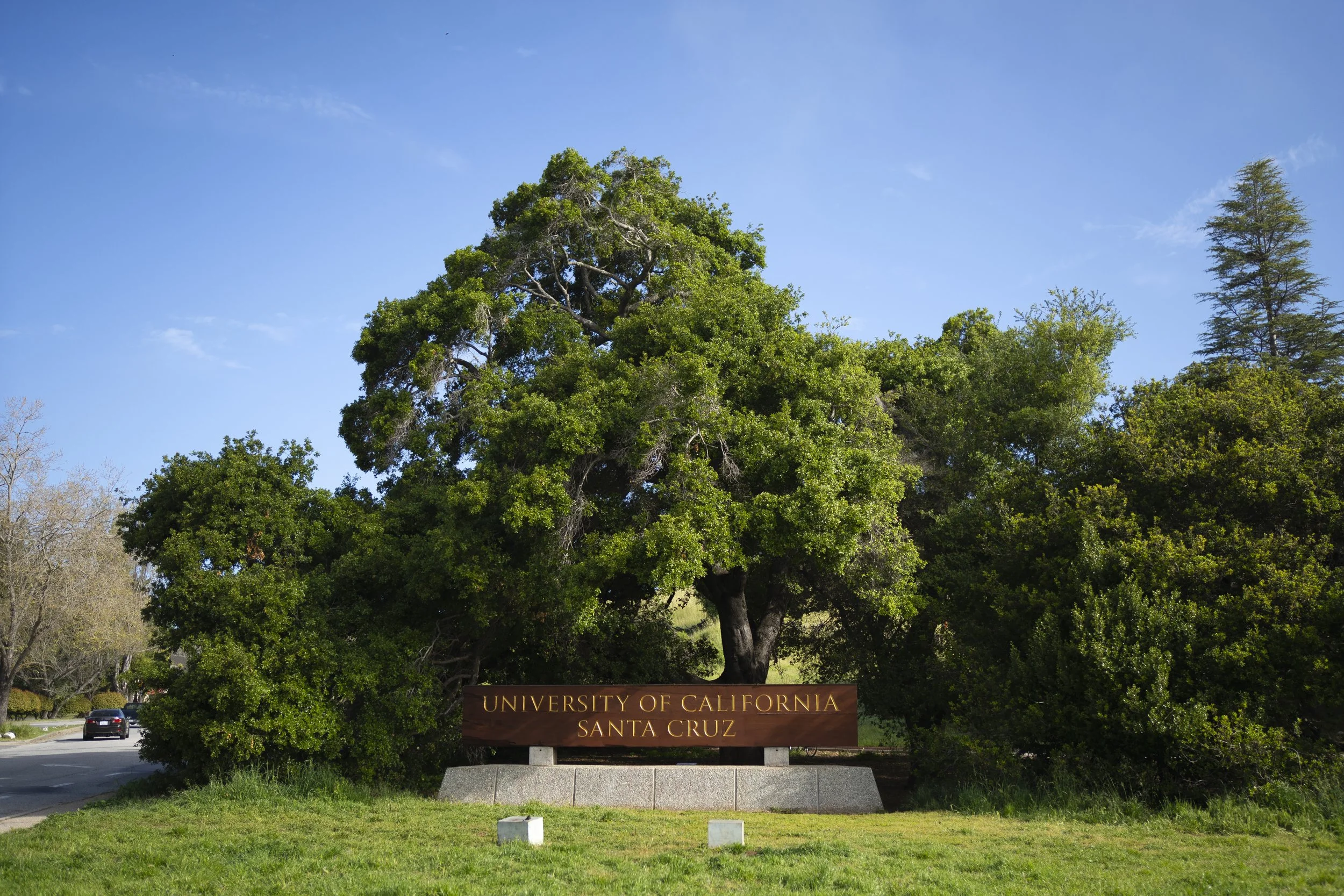20240418-ucsc-sign-neg-02.JPG