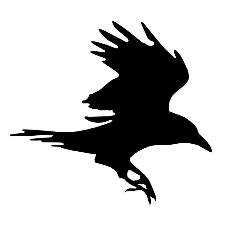 raven.jpg