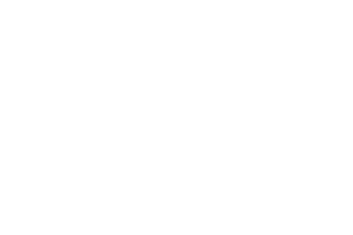 A black background with a white checkmark inside a circle and the words 'Lokalni Vodič' next to it.