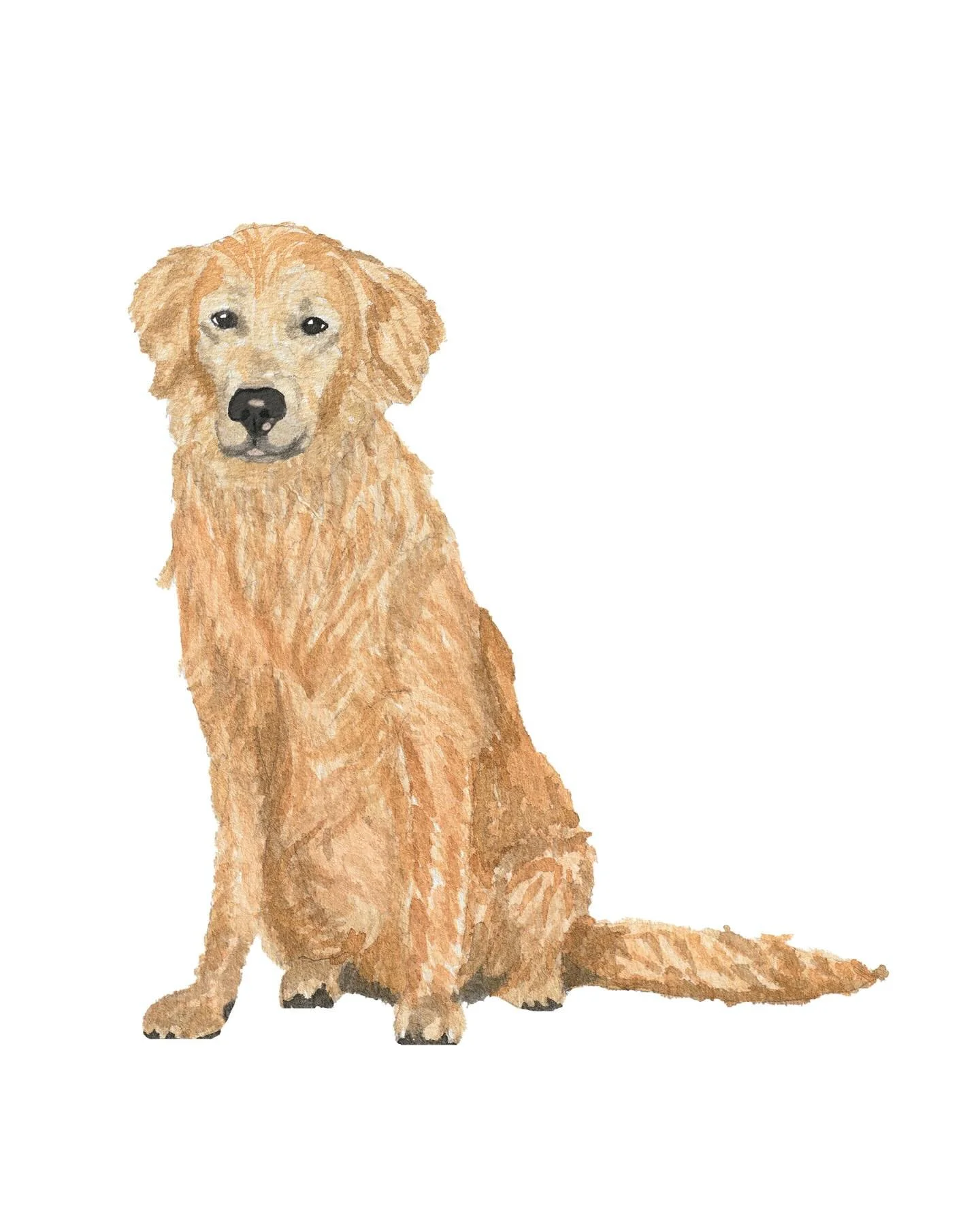 Pet Portrait commission🐾