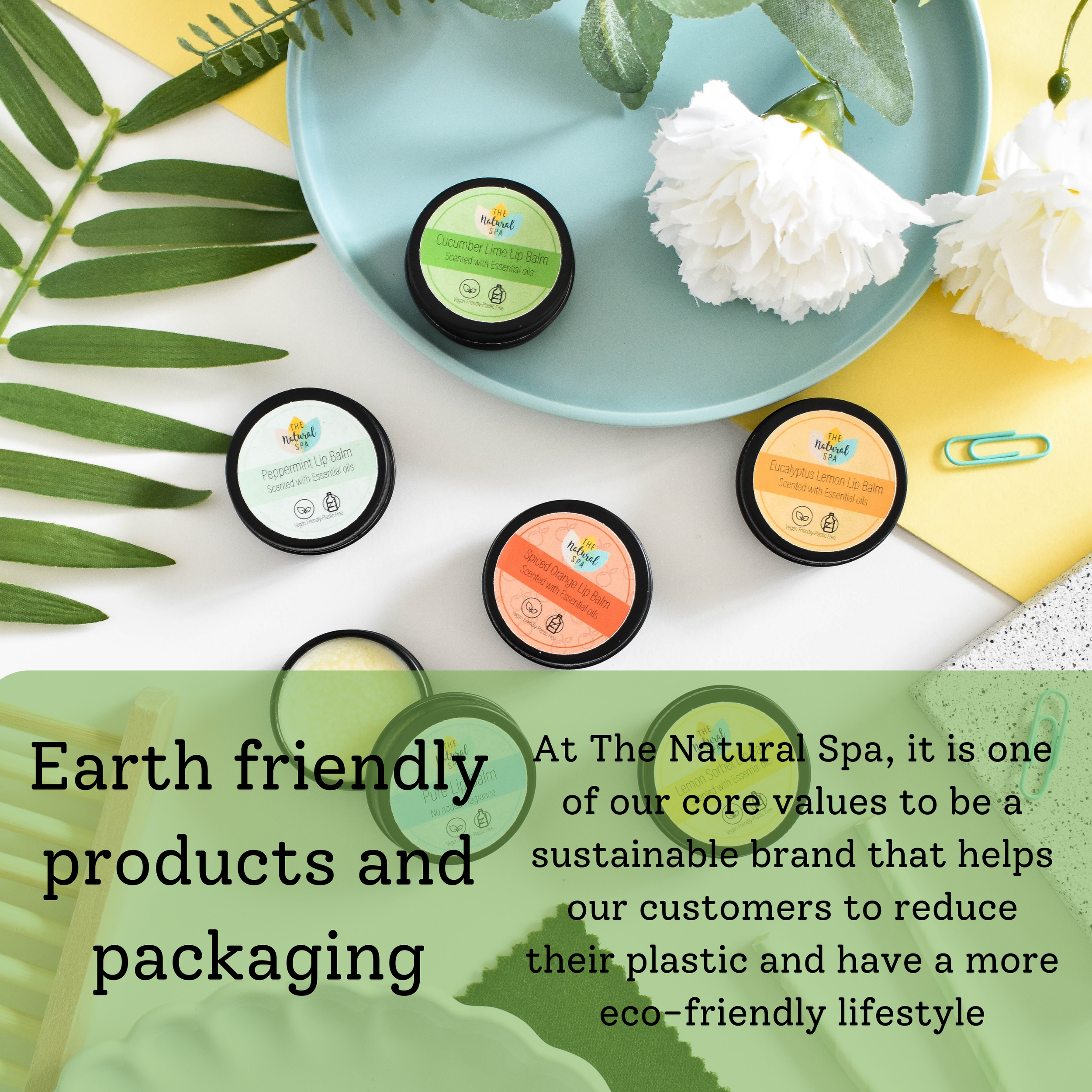CopyofPackaging_544c6789-2a0b-43c7-99b0-18359491c3e4.png