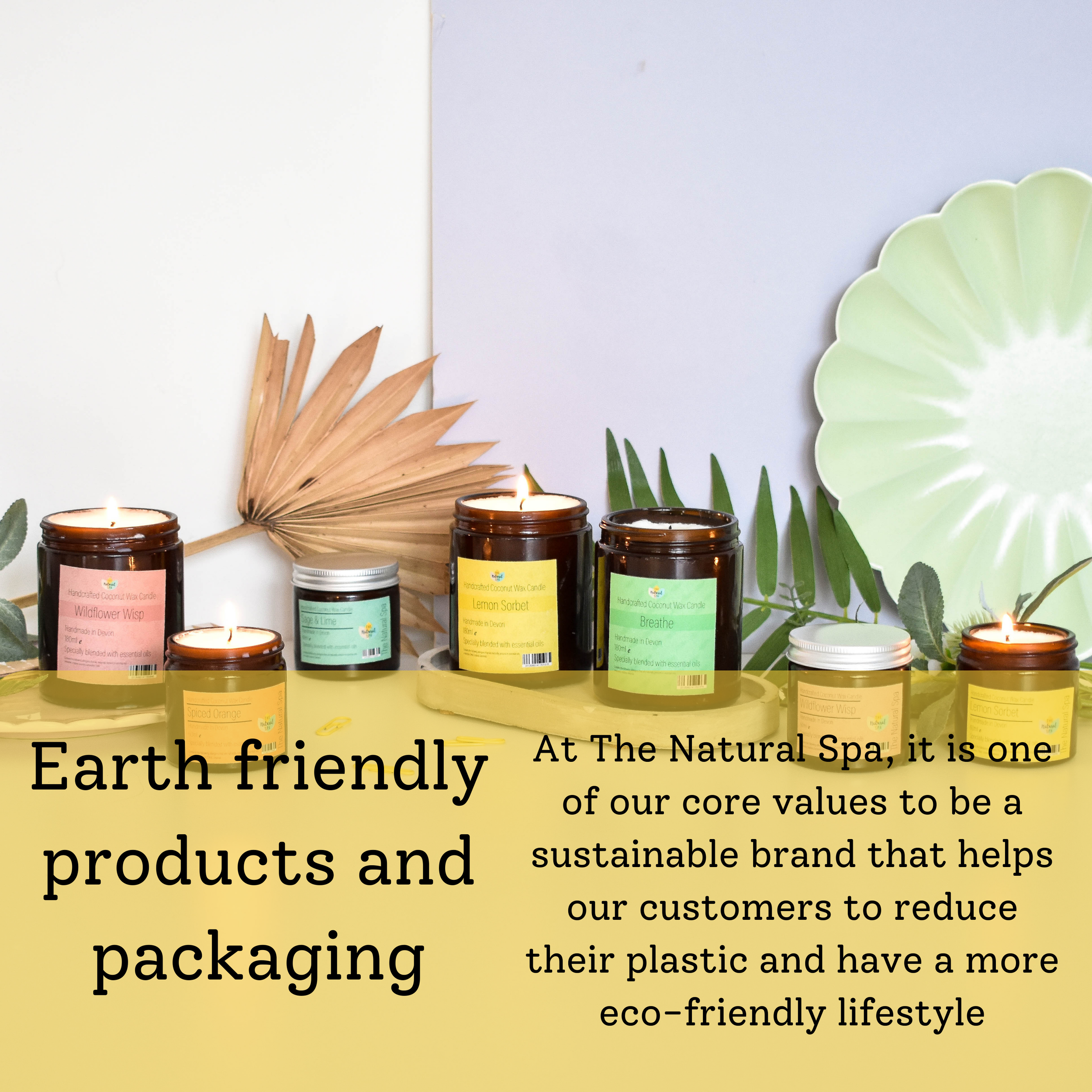 CopyofPackaging_d6bbde28-37b7-4dc6-bbcc-f0167b4805b2.png