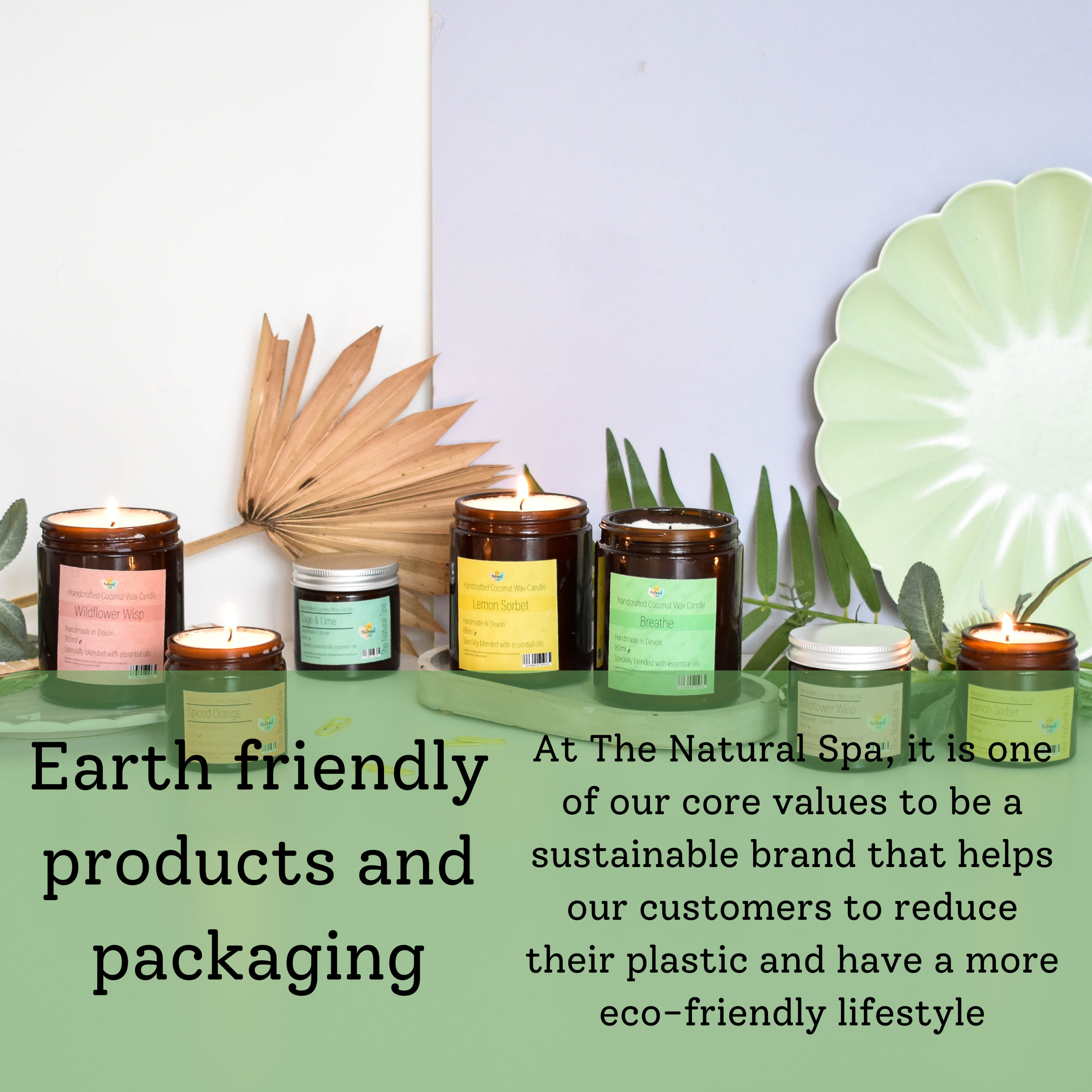 CopyofPackaging_3c9fb80f-fb0b-4289-bc72-6db0481d391b.png