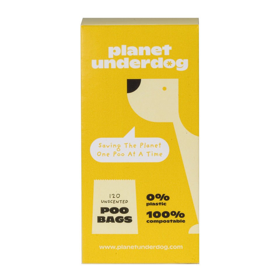 PUNewBranding-10.jpg