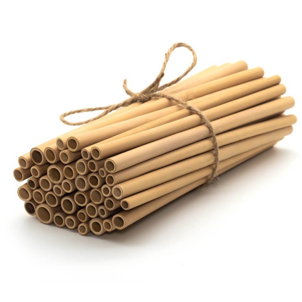 biodegradable-zerowaste-straws_2c125c2a-585f-4eaa-ac71-737a42b49411_1.jpg