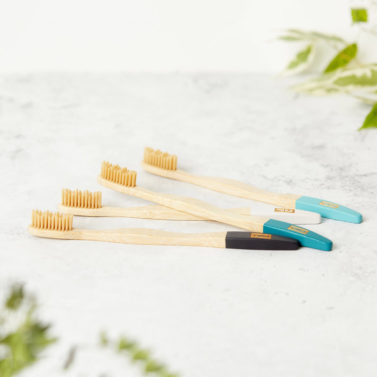 BambooWoodToothbrushesJungleCultureDental.jpg