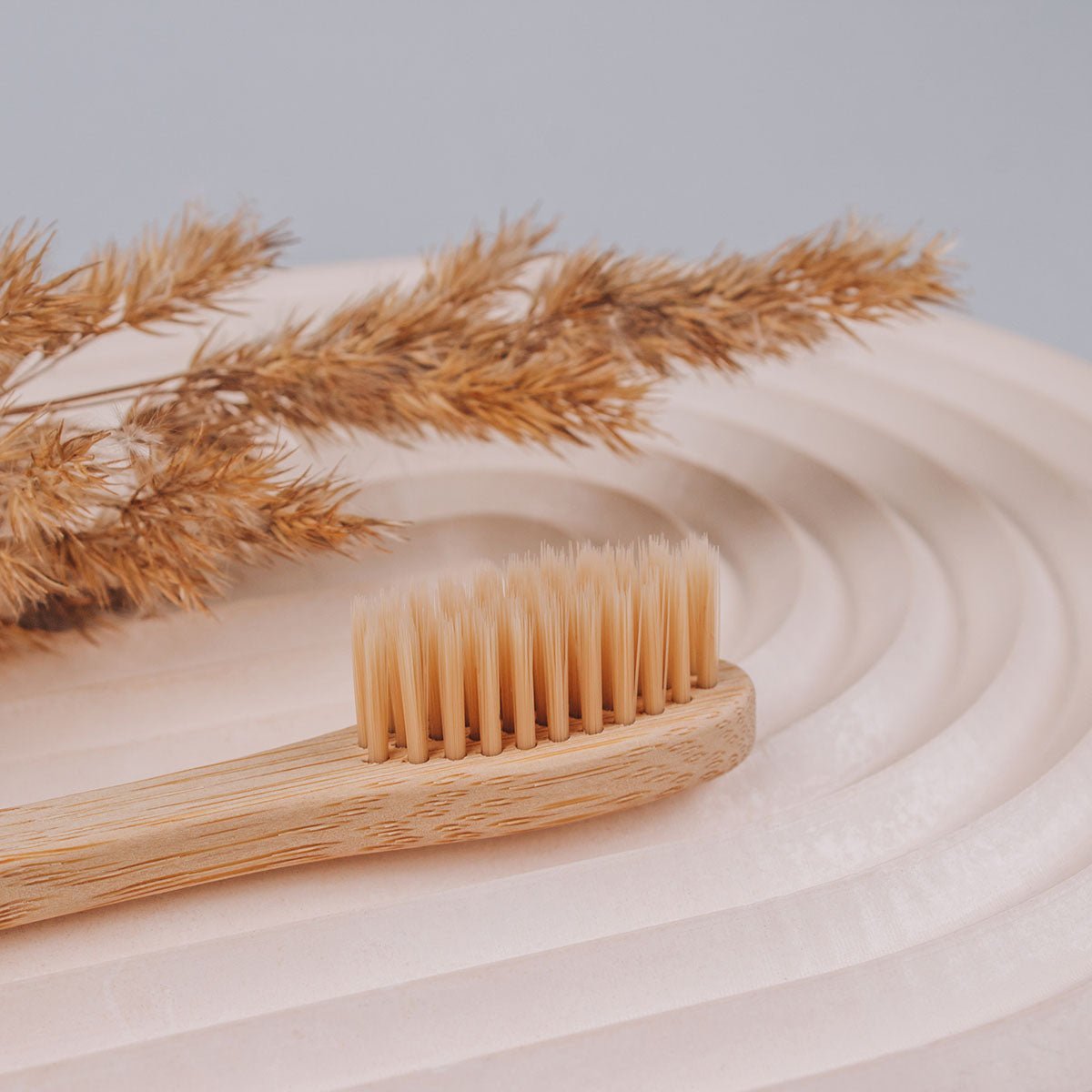 LOWJungleCultureEcoFriendlyNaturalBambooToothbrushes.jpg