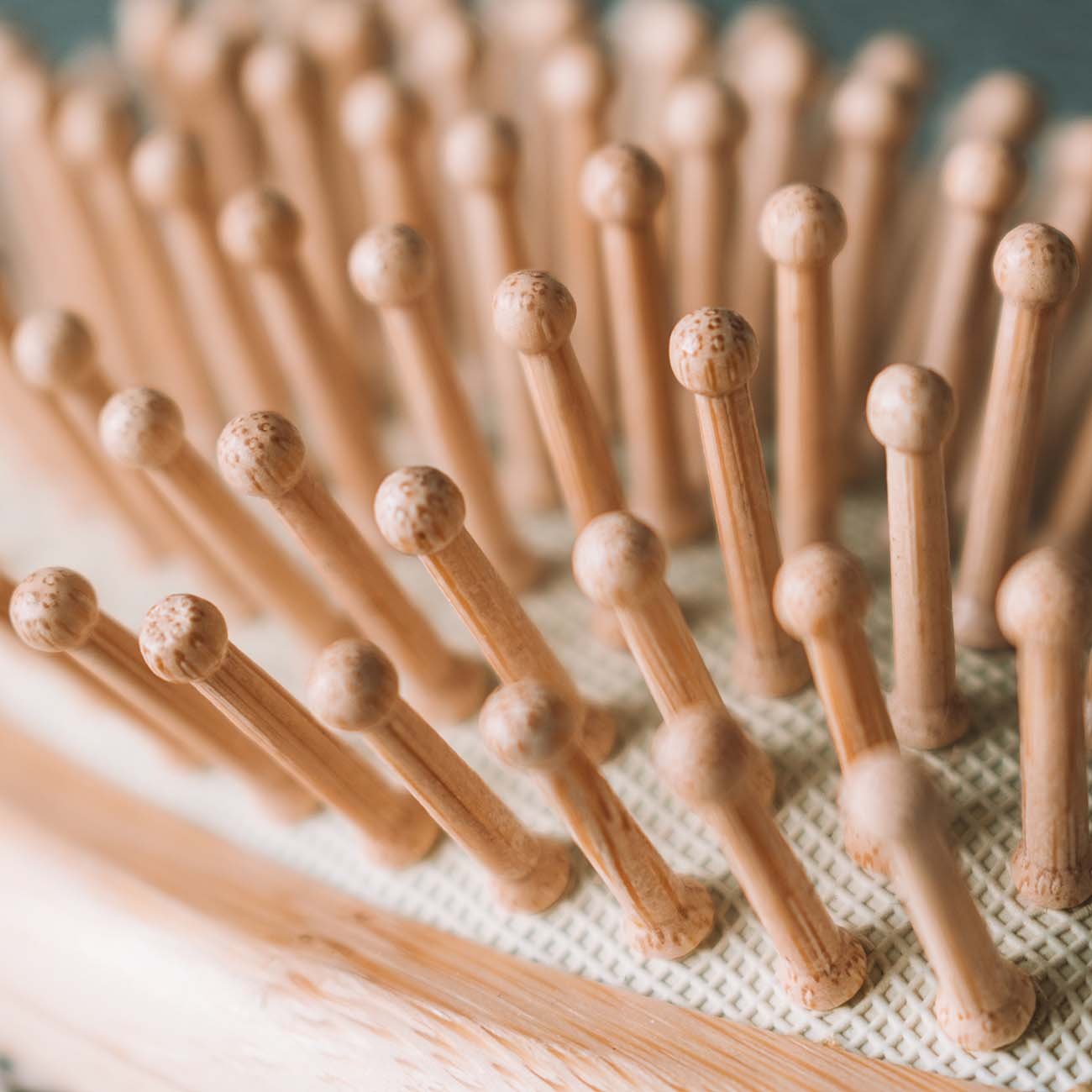 BambooHairbrushEcoBrush.jpg