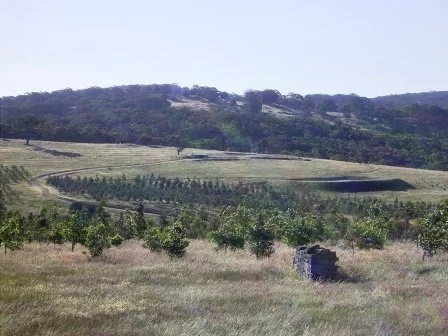 Nullavale-2007-Vista.jpg