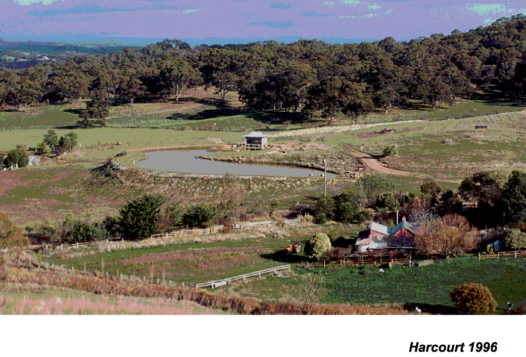 Woodbrook-1996-Ridge-Dam.png