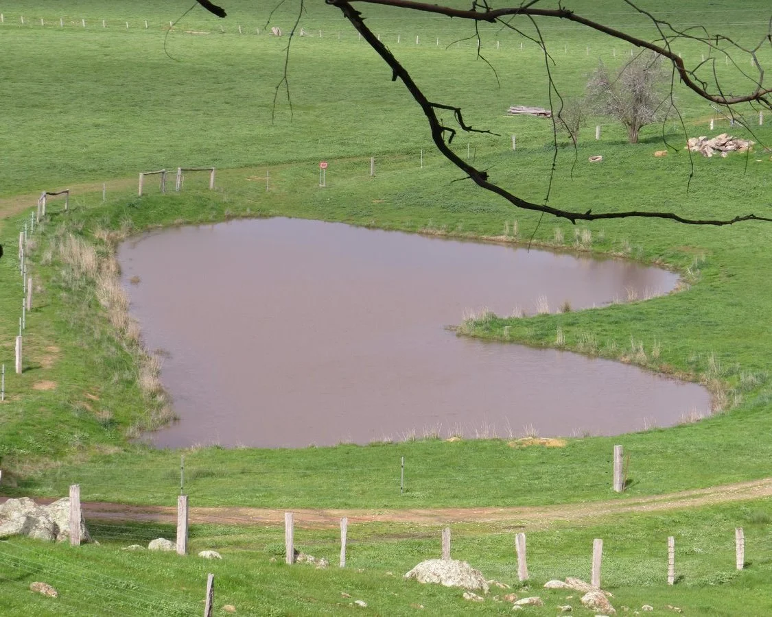 YandoitDams-FirstFill-3.jpg