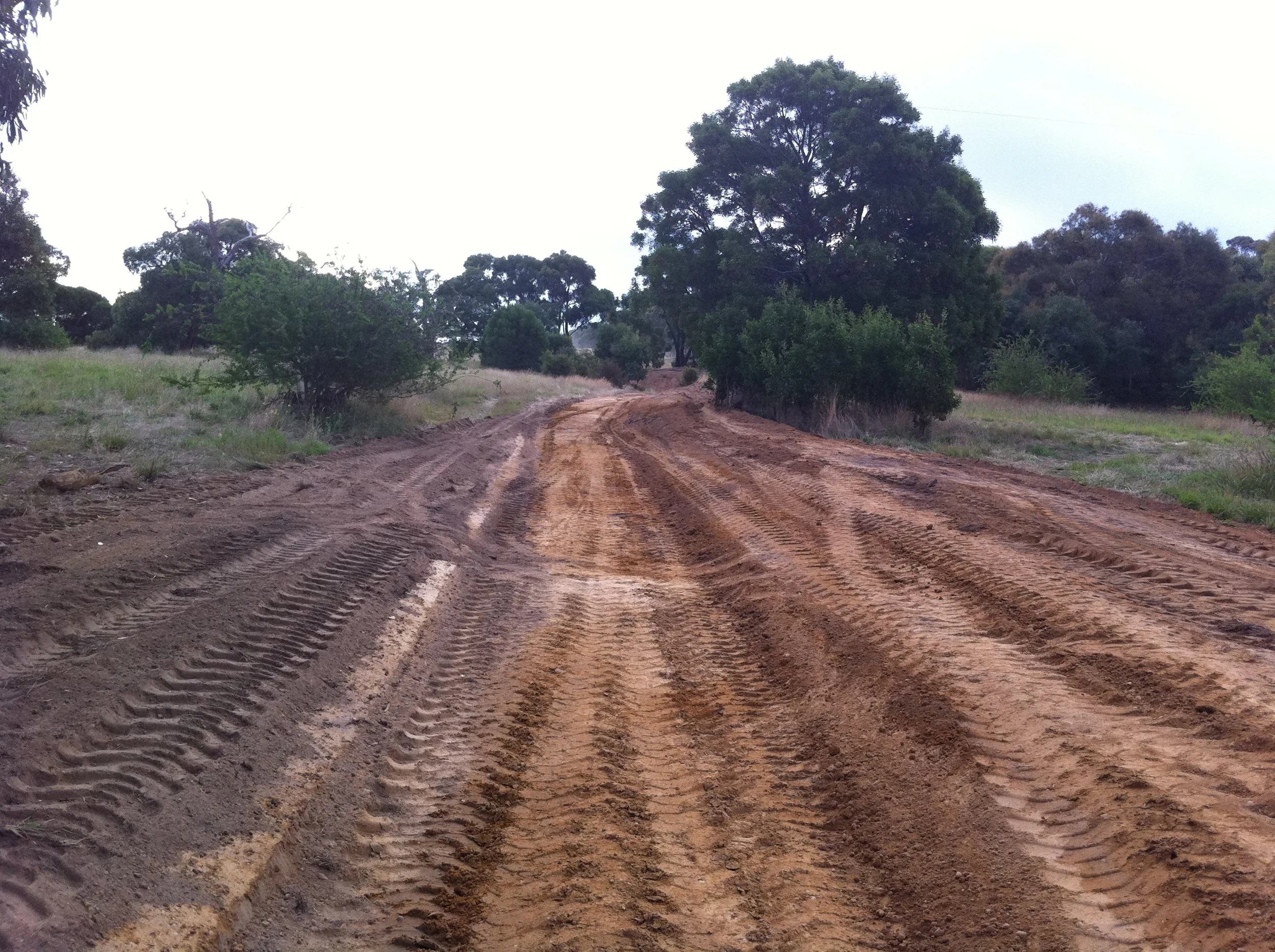 Dalpura_MulchedDrain_Before.JPG