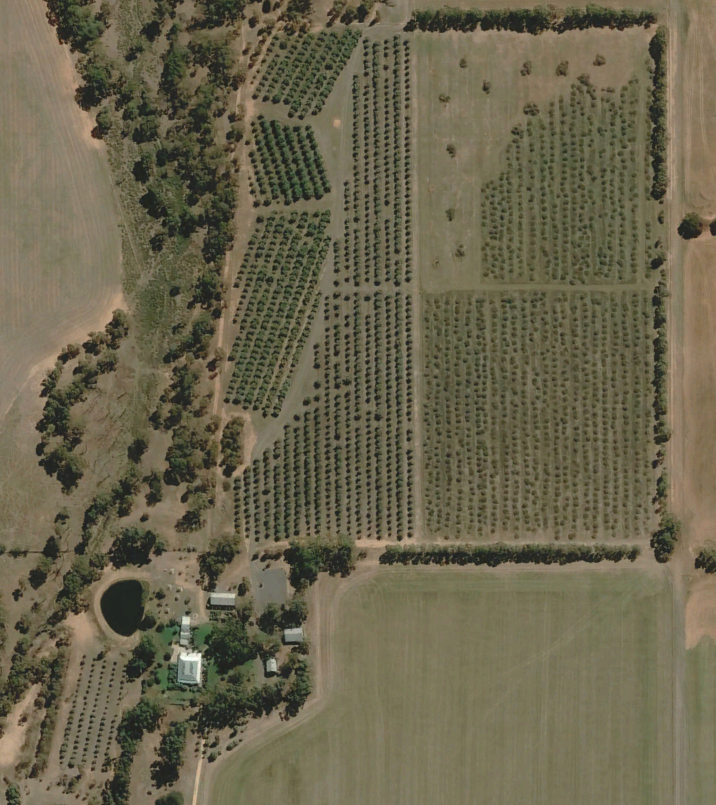 BaringupWest-2021-PartRemoval-Satellite.png