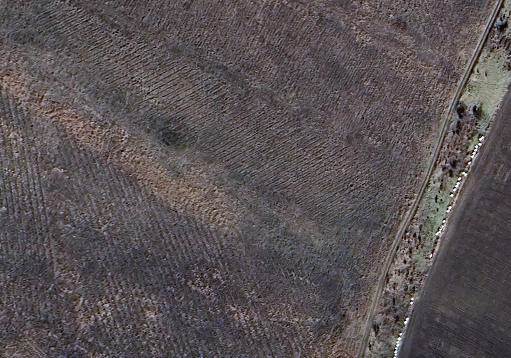 Udabno-2024-RGV-Rows-Ripped.png