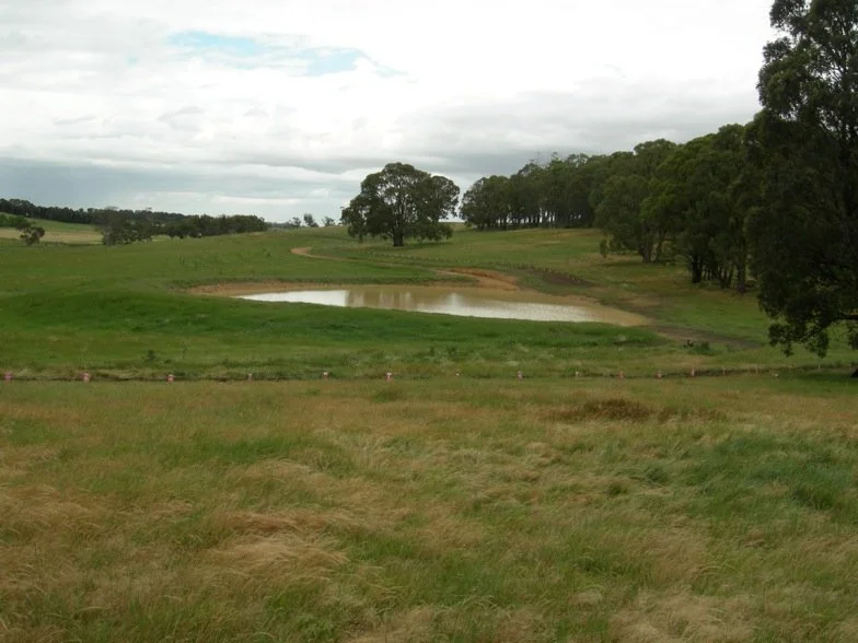 Taranaki-2009-GCR-CSF-South.jpg