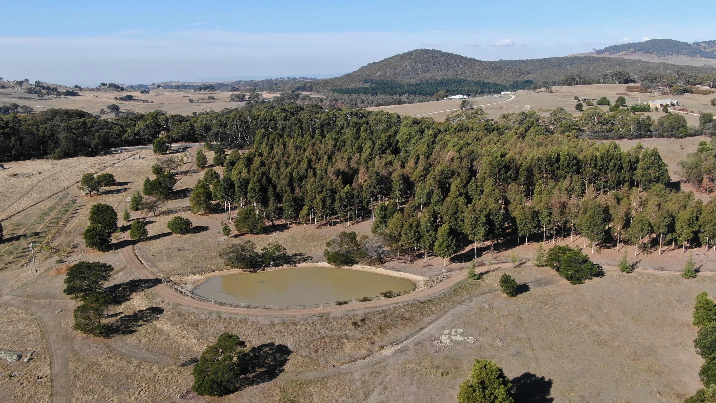 Nullavale-2025-CrossingDam-Forestry-1.JPG