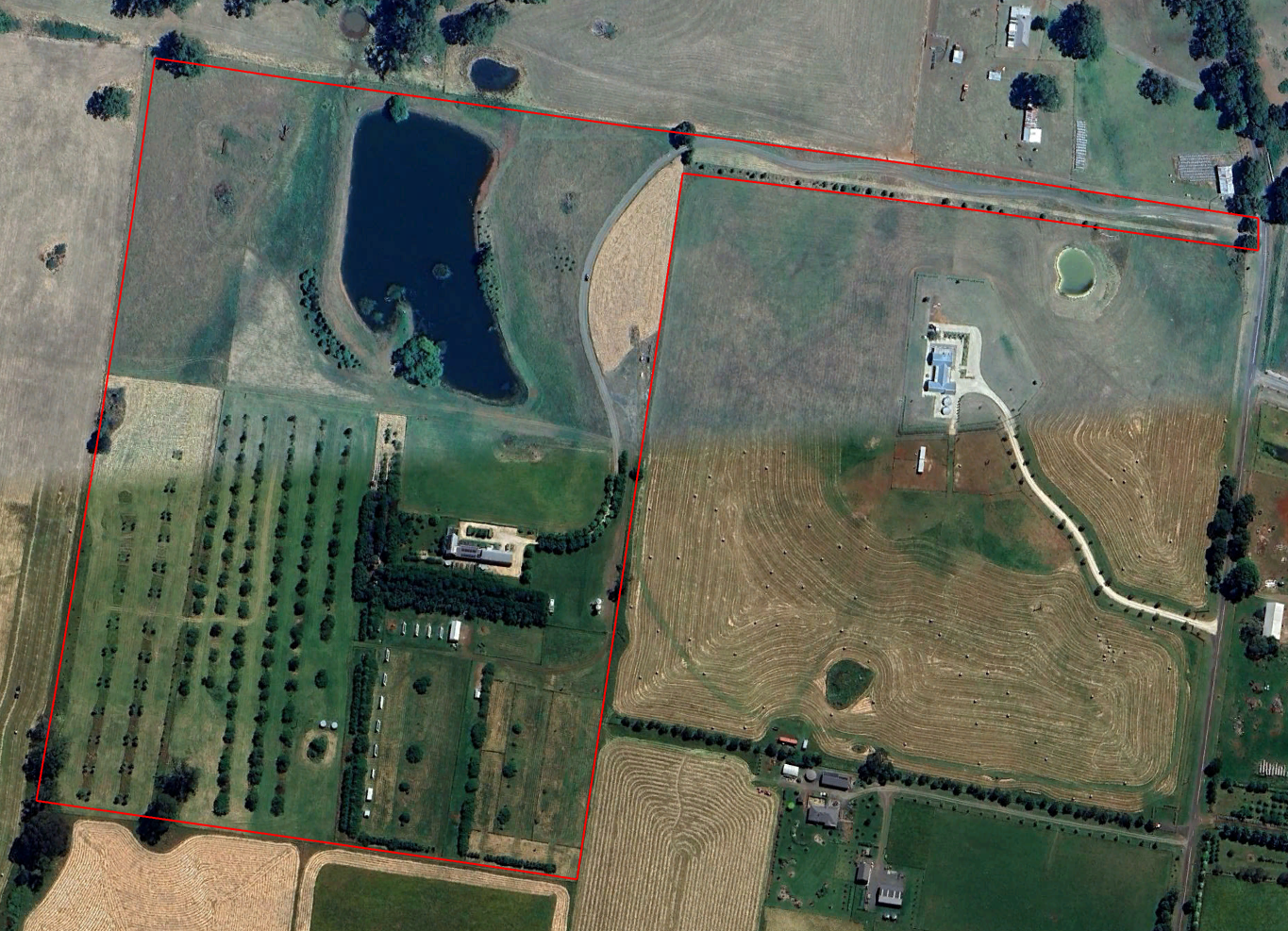 MilkingYardFarm-2024-Satellite.png